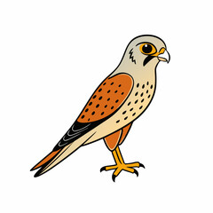 Kestrel isolated on white background, Kestrel vector illustration, bird on a branch vector art, Kestrel silhouette, bird vector icon, Kestrel on a branch line art, eps
