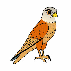 Kestrel isolated on white background, Kestrel vector illustration, bird on a branch vector art, Kestrel silhouette, bird vector icon, Kestrel on a branch line art, eps

