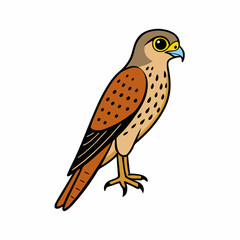 Kestrel isolated on white background, Kestrel vector illustration, bird on a branch vector art, Kestrel silhouette, bird vector icon, Kestrel on a branch line art, eps
