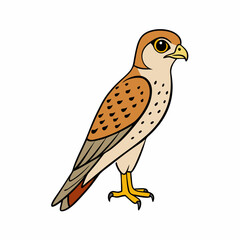 Kestrel isolated on white background, Kestrel vector illustration, bird on a branch vector art, Kestrel silhouette, bird vector icon, Kestrel on a branch line art, eps
