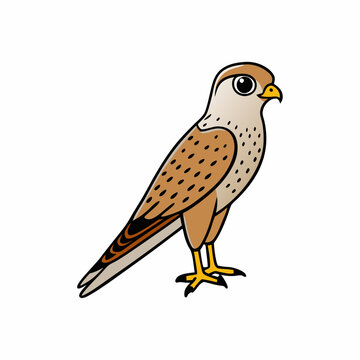 recommend clip art: Kestrel isolated on white background, Kestrel vector illustration, bird on a branch vector art, Kestrel silhouette, bird vector icon, Kestrel on a branch line art, eps
                    
