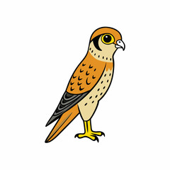 Kestrel isolated on white background, Kestrel vector illustration, bird on a branch vector art, Kestrel silhouette, bird vector icon, Kestrel on a branch line art, eps
