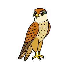 Kestrel isolated on white background, Kestrel vector illustration, bird on a branch vector art, Kestrel silhouette, bird vector icon, Kestrel on a branch line art, eps
