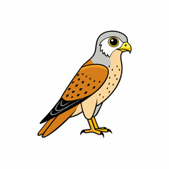 Kestrel isolated on white background, Kestrel vector illustration, bird on a branch vector art, Kestrel silhouette, bird vector icon, Kestrel on a branch line art, eps
