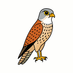 Kestrel isolated on white background, Kestrel vector illustration, bird on a branch vector art, Kestrel silhouette, bird vector icon, Kestrel on a branch line art, eps
