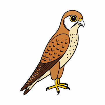 recommend clip art: Kestrel isolated on white background, Kestrel vector illustration, bird on a branch vector art, Kestrel silhouette, bird vector icon, Kestrel on a branch line art, eps
                    