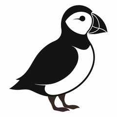 Puffin isolated on white background, Puffin vector illustration, bird on a branch vector art, Puffin silhouette, bird vector icon, Puffin on a branch line art, eps