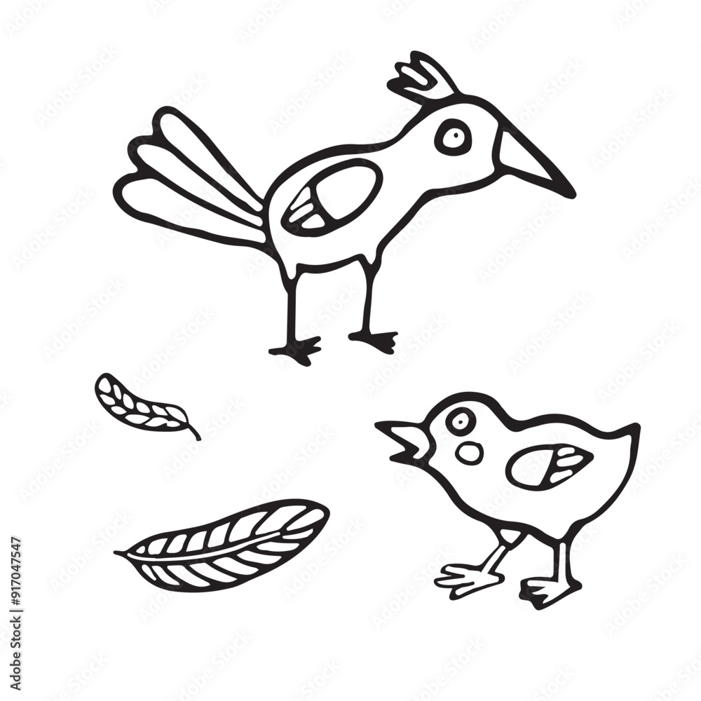 Wall mural A charming black and white illustration featuring two cartoon birds along with a few feathers. for children's books, educational content, or coloring activities. The larger bird stands tall.