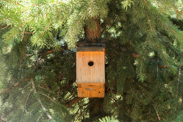 Wooden birdhouse hanging on a coniferous tree