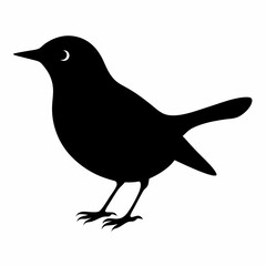 Warbler isolated on white background, Warbler vector illustration, bird on a branch vector art, Warbler silhouette, bird vector icon, Warbler on a branch line art, eps