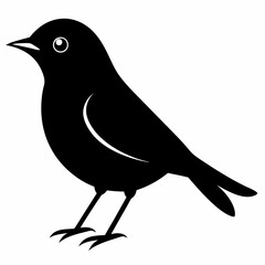 Warbler isolated on white background, Warbler vector illustration, bird on a branch vector art, Warbler silhouette, bird vector icon, Warbler on a branch line art, eps