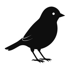 Warbler isolated on white background, Warbler vector illustration, bird on a branch vector art, Warbler silhouette, bird vector icon, Warbler on a branch line art, eps