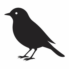 Warbler isolated on white background, Warbler vector illustration, bird on a branch vector art, Warbler silhouette, bird vector icon, Warbler on a branch line art, eps