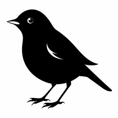Warbler isolated on white background, Warbler vector illustration, bird on a branch vector art, Warbler silhouette, bird vector icon, Warbler on a branch line art, eps