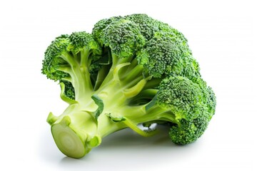 Fresh green broccoli isolated on white background.