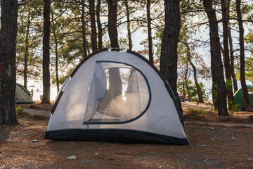 camping among pine trees on the seashore, white tent in the foreground