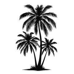 Elegant Silhouette Coconut Tree on White Background