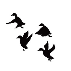 Fototapeta premium Canada goose silhouette design. wild duck flying in group.