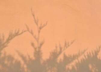 Abstract shadows on orange background.