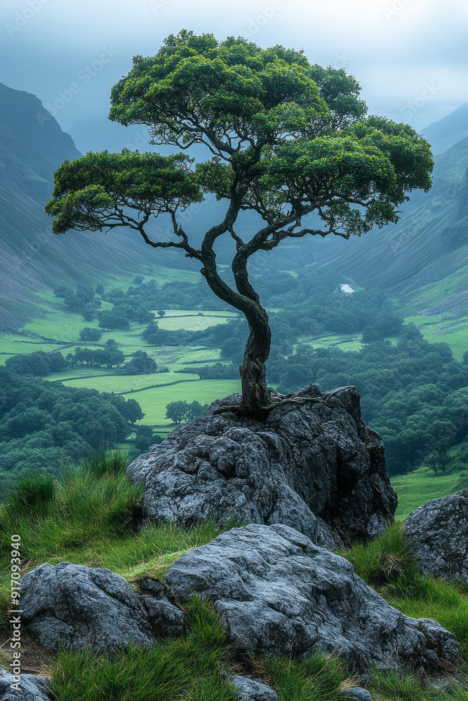 Aufkleber a towering ancient tree stands as the sentinel of the vale, its branches reaching out like protectiv