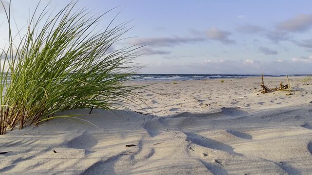Morze Bałtyckie, zachodząca słońce i pusta piaszczysta plaża. 