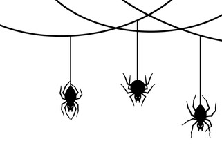 Halloween Spider webs Line Art Illustration