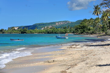 Azure, turquoise blue colored shallow lagoon of Playa Manglito Beach lined with sea almond and palm...
