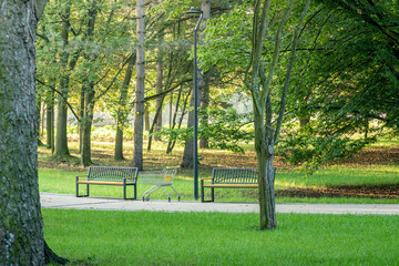 Early morning in a public park with benches and a shopping cart beside a walking path