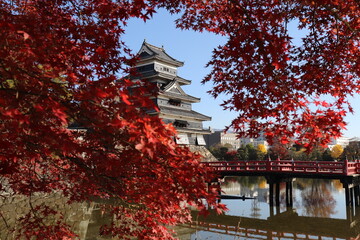 紅葉とお城