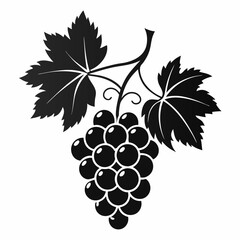 Obraz premium Bunch of grapes isolated on white