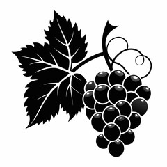 Obraz premium bunch of grapes