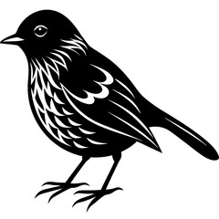 Silhouette of Dunnock bird