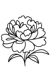 Flowers SVG, Daisy SVG, Rose SVG, Peony SVG, Lily SVG, Floral SVG, Nature SVG, Plant SVG, Blossom SVG, Flowers Silhouette, Flowers Design, Bouquet SVG, Cut file for Cricut SVG, JPG, PNG