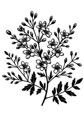 Flowers SVG, Daisy SVG, Rose SVG, Peony SVG, Lily SVG, Floral SVG, Nature SVG, Plant SVG, Blossom SVG, Flowers Silhouette, Flowers Design, Bouquet SVG, Cut file for Cricut SVG, JPG, PNG