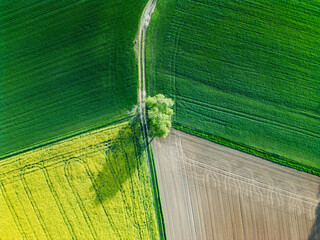 A Stunning Aerial View Showcasing Vibrant Agricultural Fields Brimming with Life and Colors