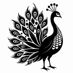  a peacock silhouette black and white vector illustration