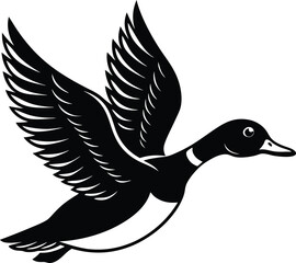 Obraz premium duck isolated on white. flying wild duck vector