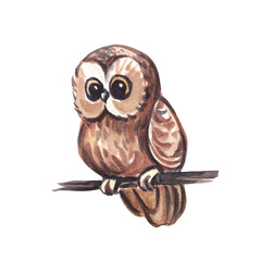 Watercolor illustration of a cute owl on a transparent background.
