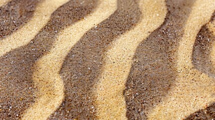 Obraz premium Close-up view of sandy beach texture in summer
