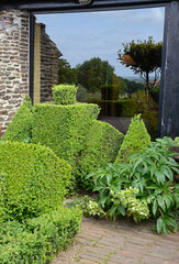 Sol en brique du nord, Baie vitrée, Buis taillé, Buxus sempervirens, Jardins de la ferme du mont des Récollets,  Cassel, 59, Nord , France