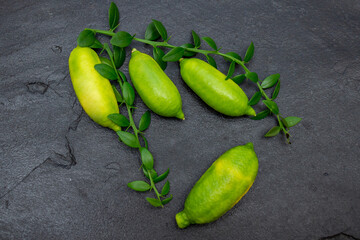Ripe yellow oblong citrus fruits with green sprigs on the black slate slab, close-up. Australian finger lime plant indoor growing. Microcitrus australasica, Faustrimedin