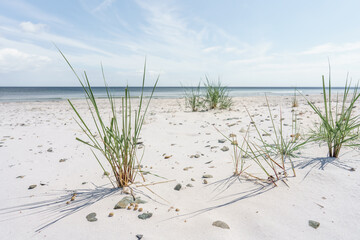 Strand an der Ostsee