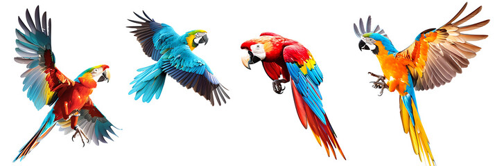 Set of various birds in flight, including a parrot, eagle, and sparrow, detailed feathers and vibrant colors, isolated on a white background