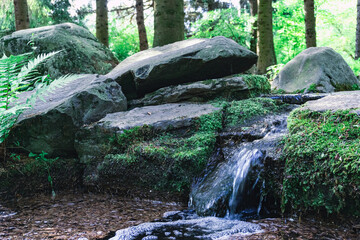 A Serene Stream Gently Flowing Over Smooth Rocks in a Lush Forest Surrounded by Nature