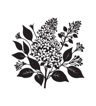 syringa vector style,silhouette vector,black and white color