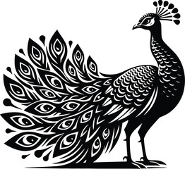 peacock silhouette floral design template 