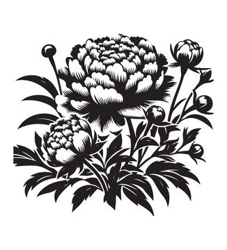 peone vector style,silhouette vector,black and white color