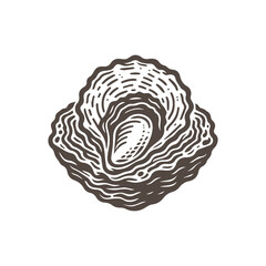 Obraz premium Oysters vector icon doodle style flat design