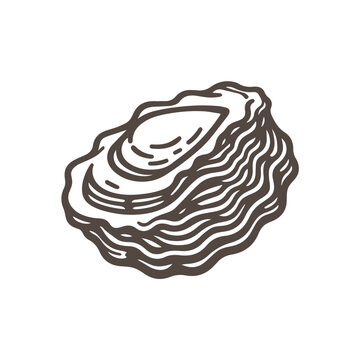 oyster shell outline drawing clip art preview