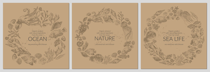 Sea liferound frame wreath background with seashells, seaweed, coral, fish, seahorse, starfish, octopus, jellyfish